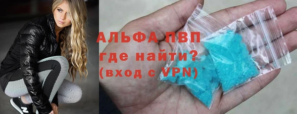 шишки Новозыбков