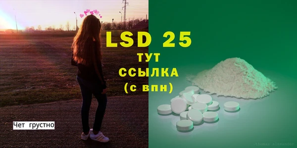 spice Новодвинск