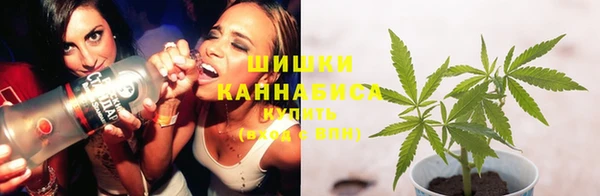 spice Новодвинск