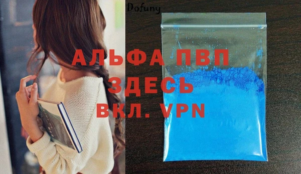 spice Новодвинск