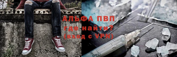 spice Новодвинск