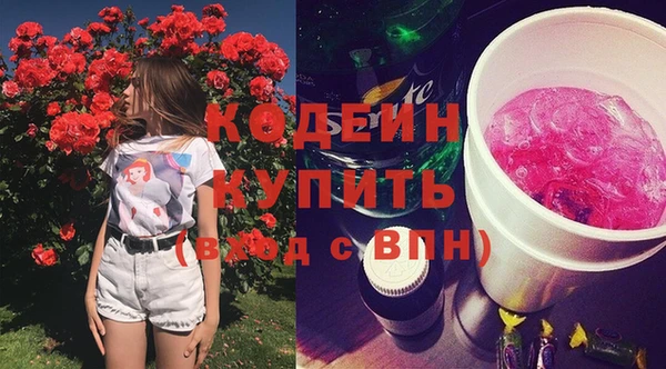 шишки Новозыбков