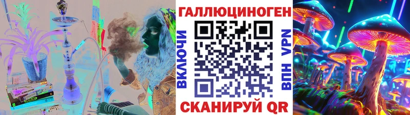 Галлюциногенные грибы Psilocybe  OMG как зайти  Киренск 